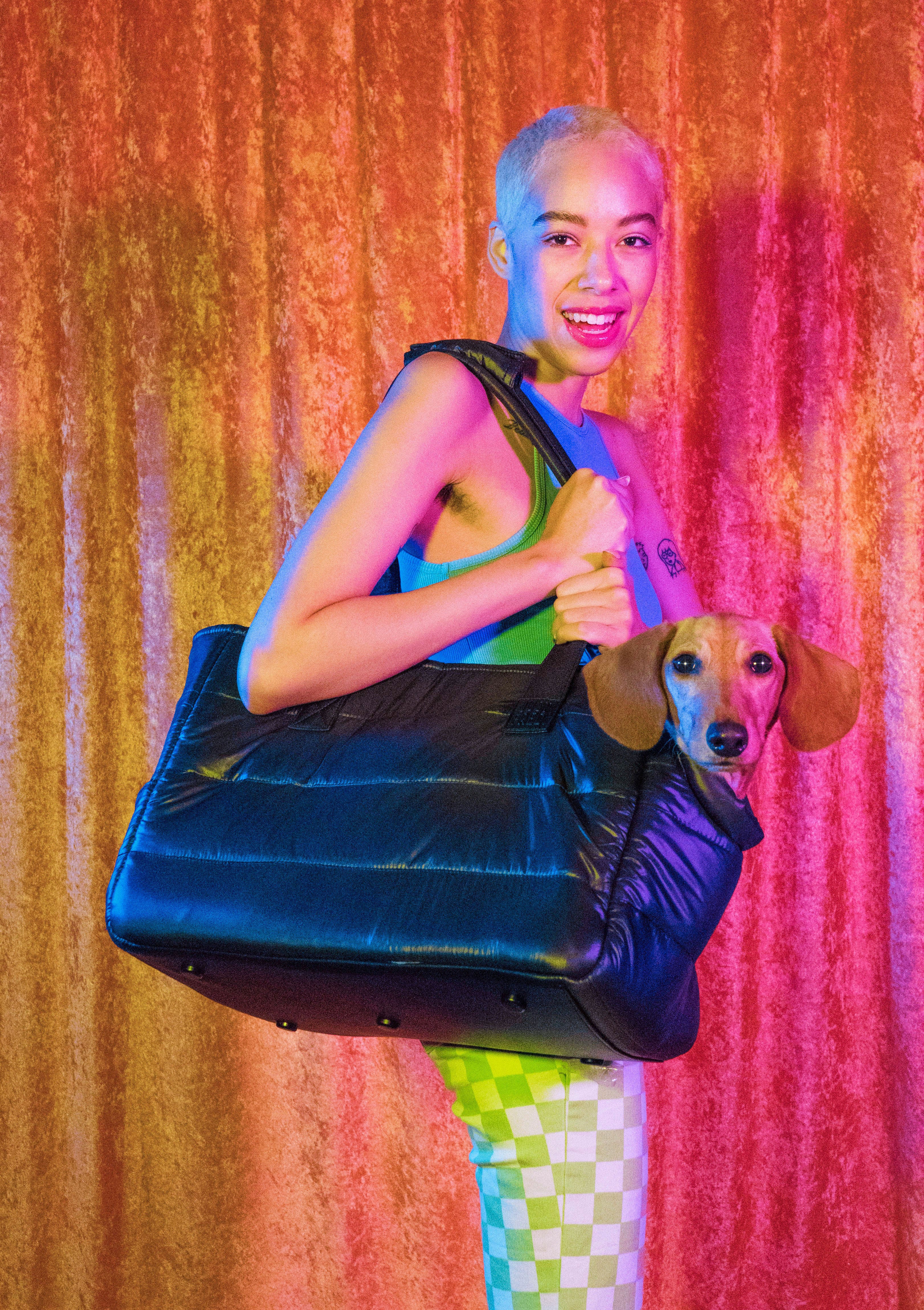 Your Dog Tote Upgrade