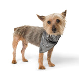 Demure Bandana.