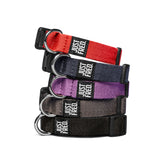 Dog Collar.
