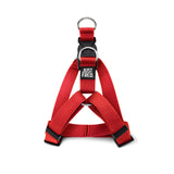 Step In Harness.