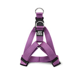 Step In Harness.