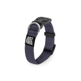 Dog Collar.