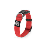 Dog Collar.