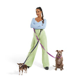 Dog Collar Kit.
